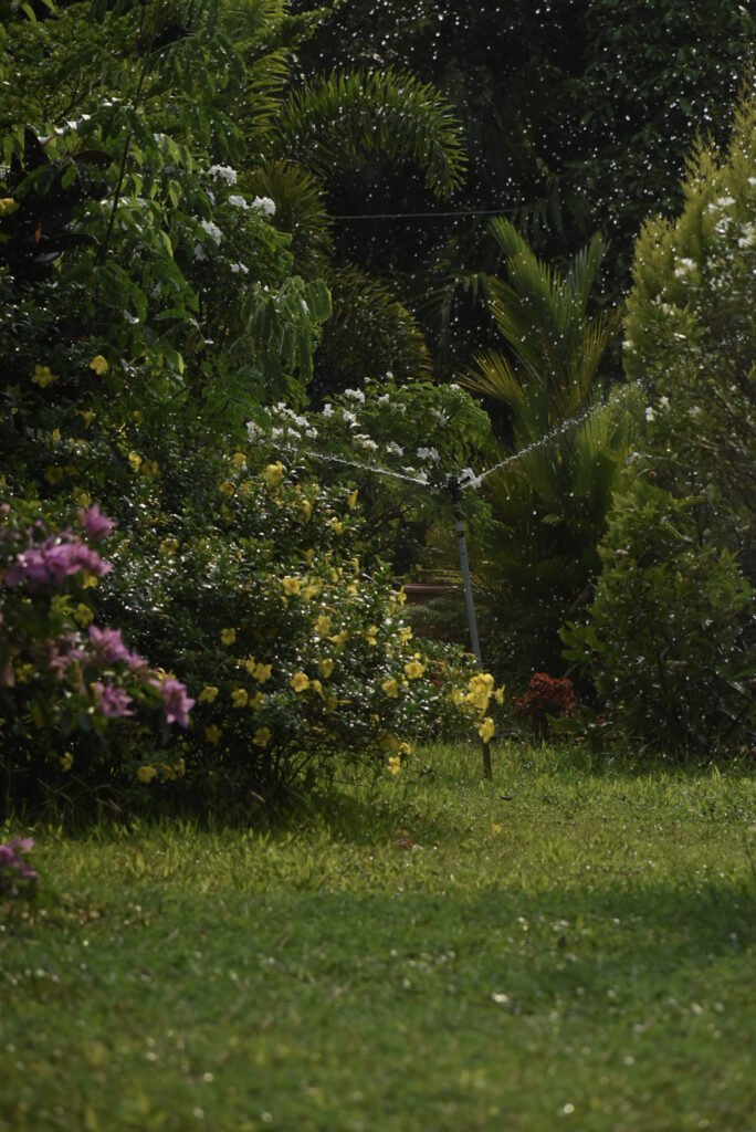 garden13