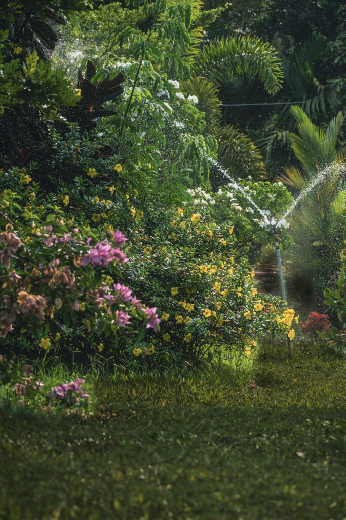 garden14