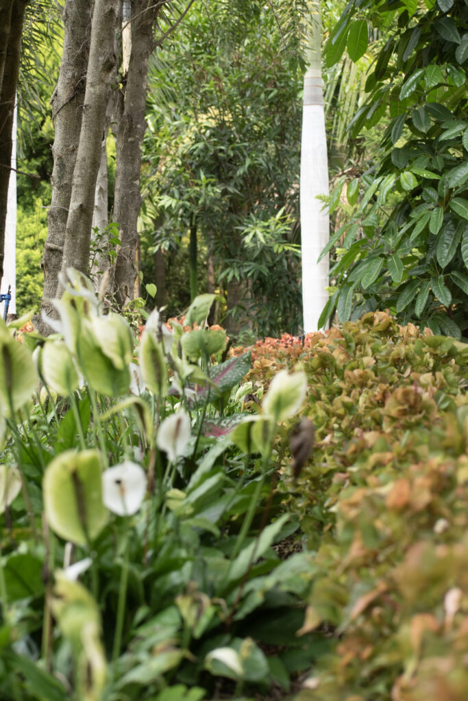 garden20