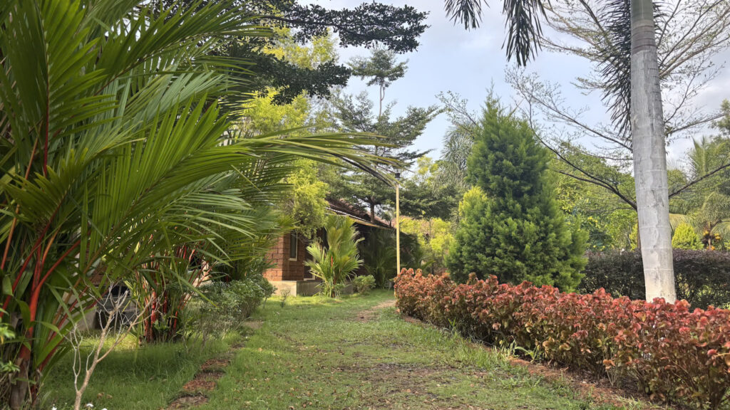 garden3