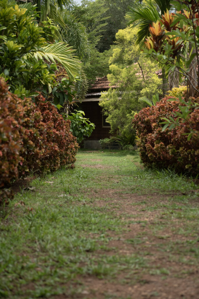 garden38