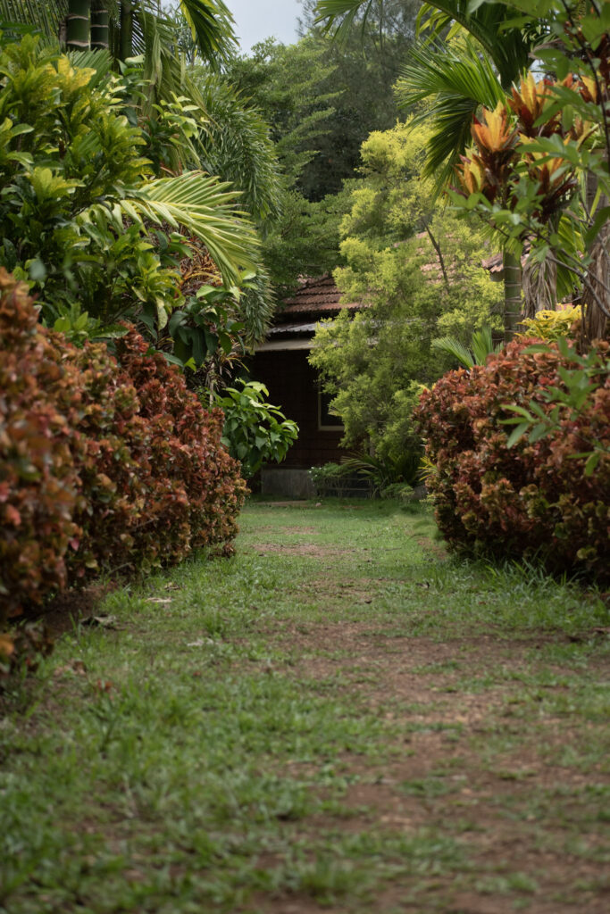 garden39