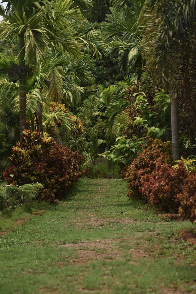 garden47