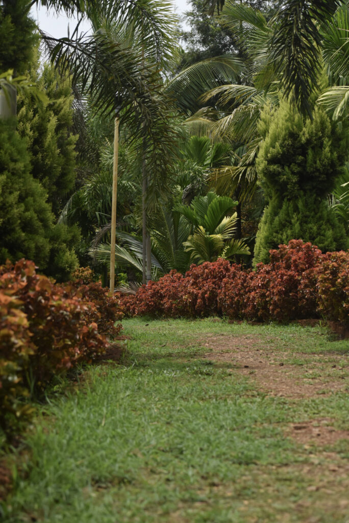 garden54