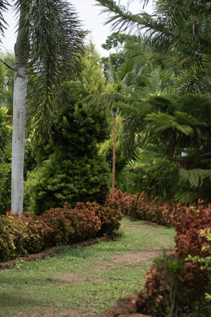 garden55