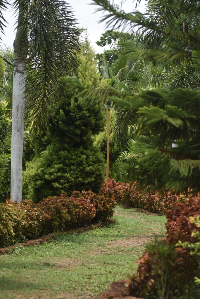 garden56