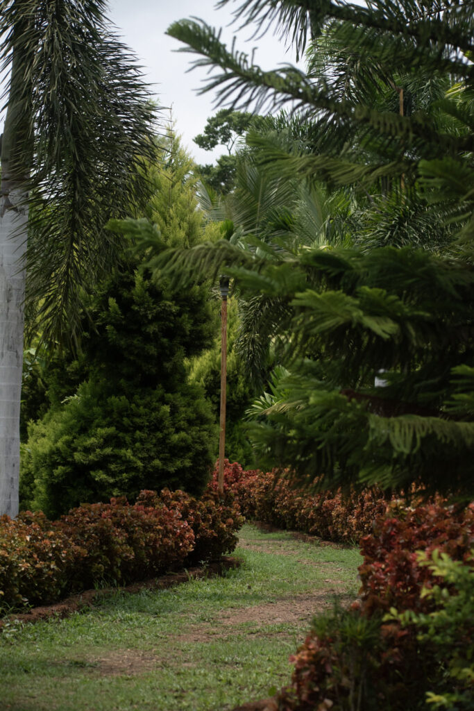 garden57