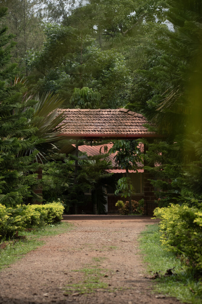 garden65