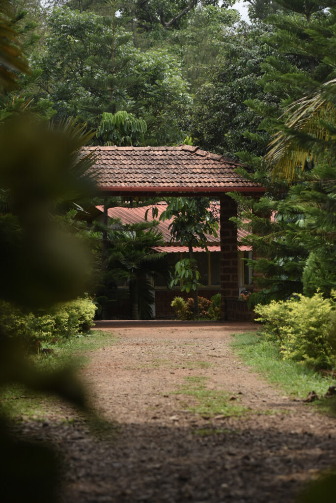 garden67