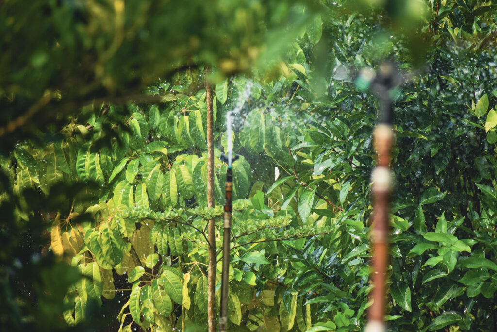 garden7